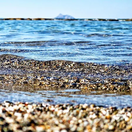 Hotel Alonia Kalamaki (Heraklion)