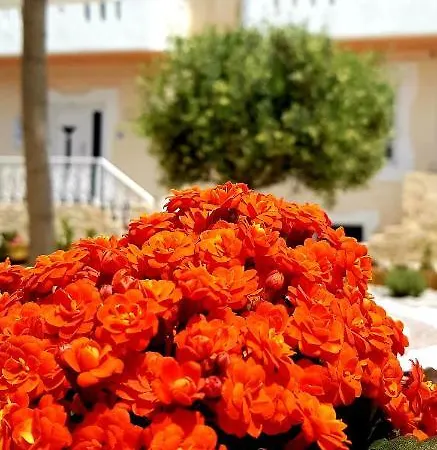Hotel Alonia